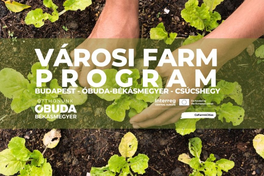 CoFarm4Cities projekt az Óbudai Egyetem Rejtő Karán