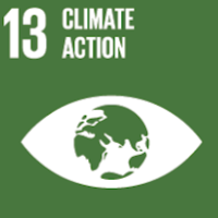 SDG 13