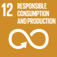 SDG 12