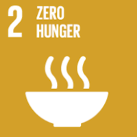 SDG 2