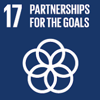 SDG 17