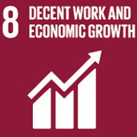 SDG 8